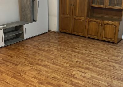 Curățenie la domiciliu